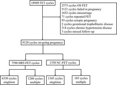 Hormone replacement treatment regimen is associated with a higher risk of hypertensive disorders of pregnancy in women undergoing frozen-thawed embryo transfer